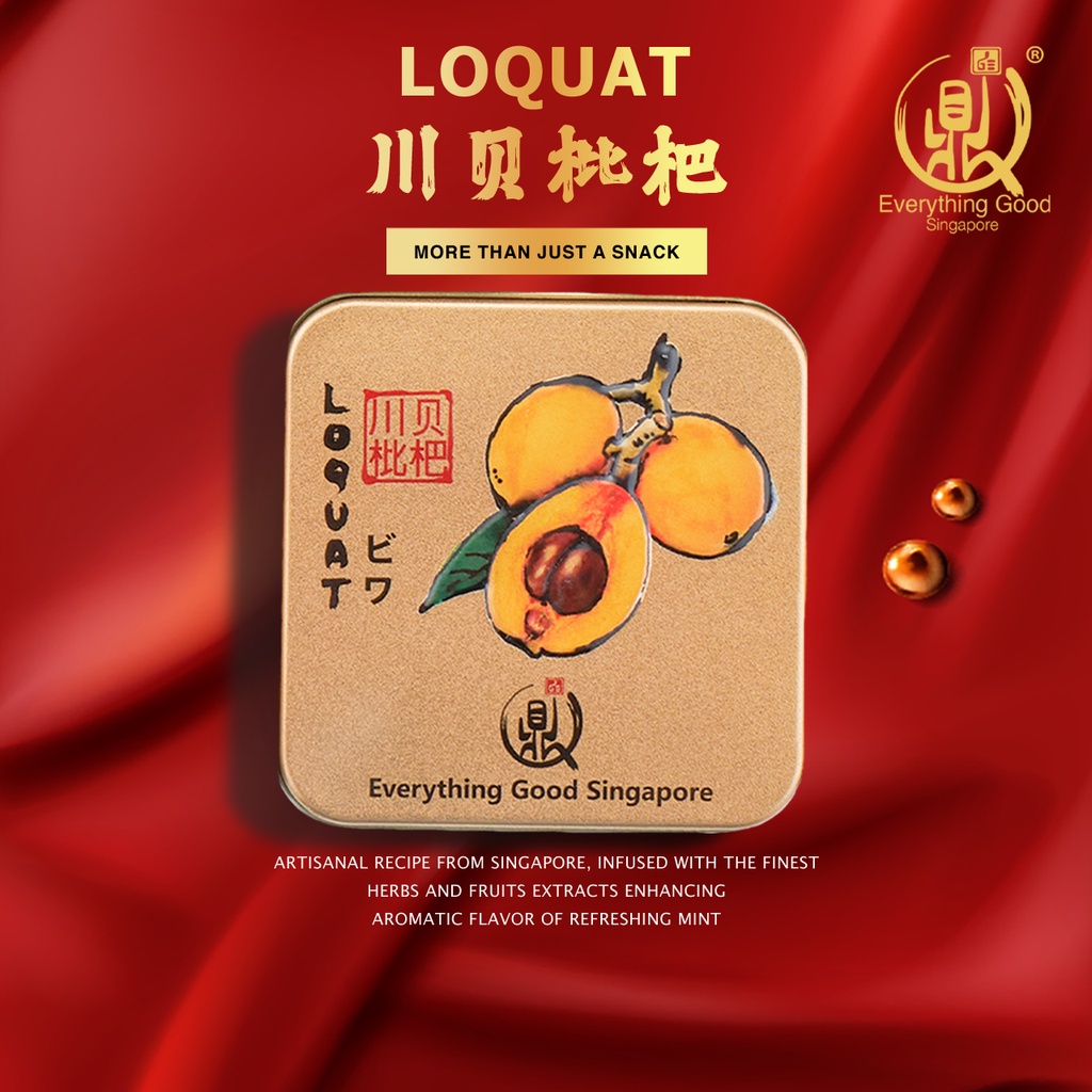 Everything Good Premium Pastilles 100g - Singapore Brand Healthy Fruit Snack Pastilles For Gifts